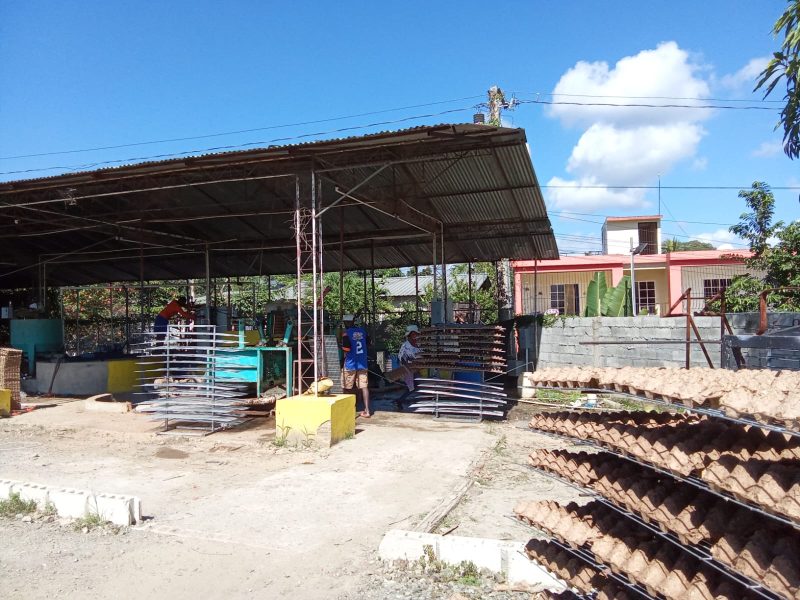 egg tray onsite egg tray onsite